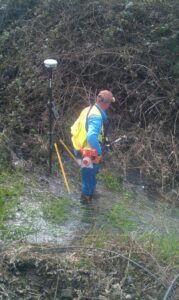 Glory job of brushing berries while standing in ditch to set a property corner.