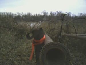 Looking down farm property line